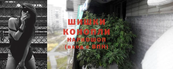 шишки Бугульма