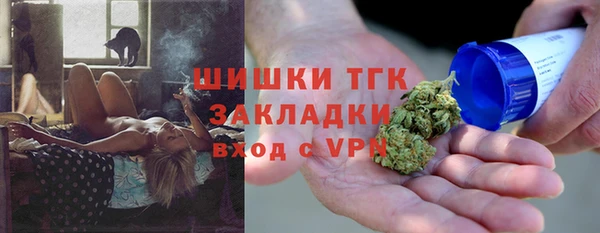 сатива Бронницы