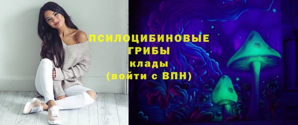 шишки Бугульма