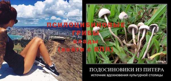 шишки Бугульма