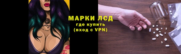 сатива Бронницы