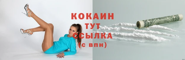 эйфоретик Бородино