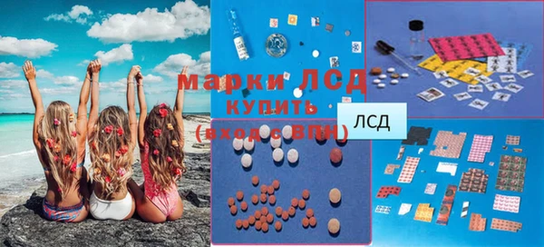 эйфоретик Бородино