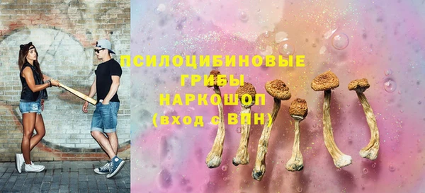 шишки Бугульма