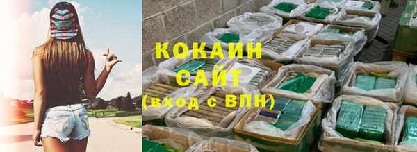 сатива Бронницы