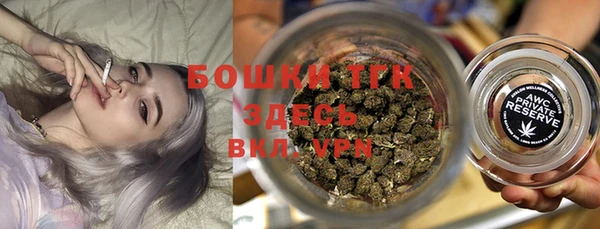 эйфоретик Бородино