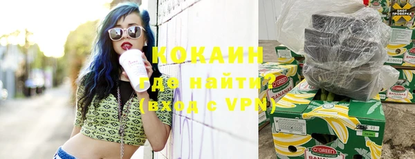 сатива Бронницы