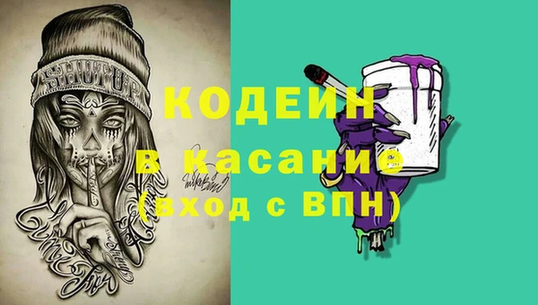 сатива Бронницы