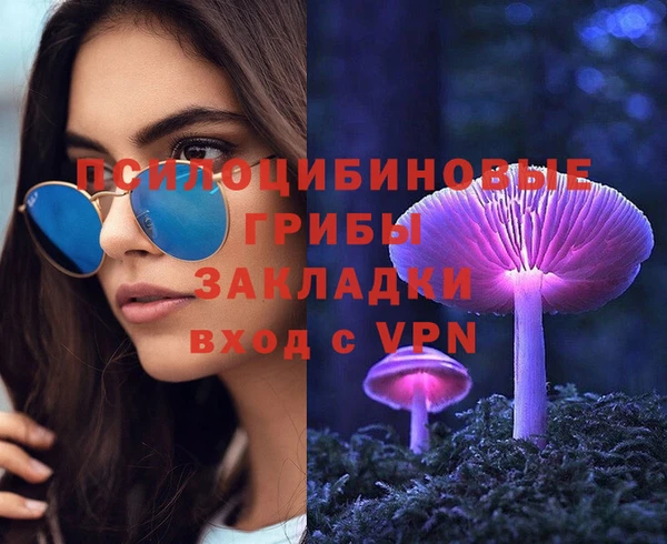 сатива Бронницы