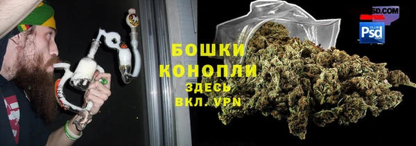 шишки Бугульма